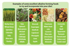 alkaline-foods-list